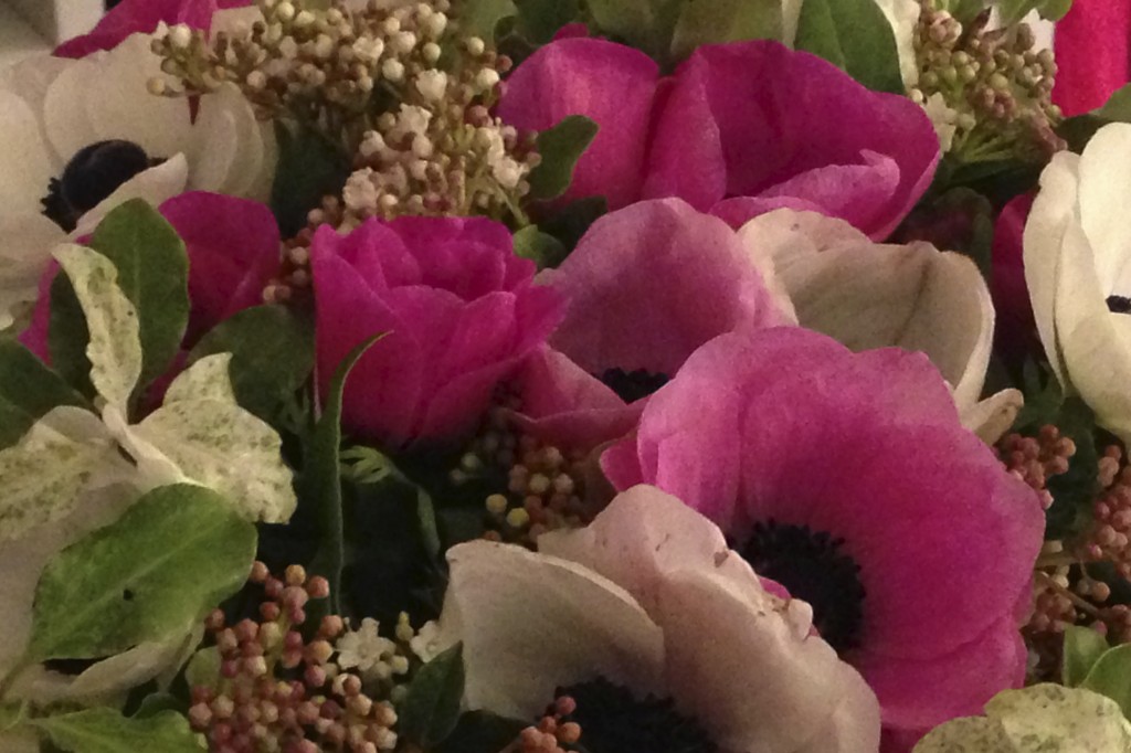 des brassées de fleurs