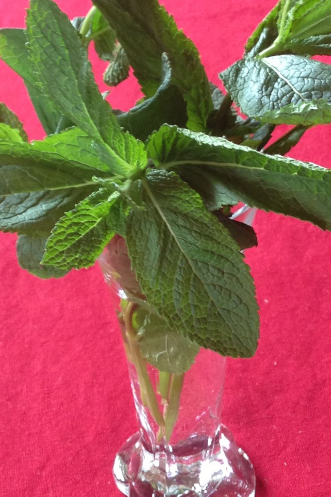 bouquet de menthe