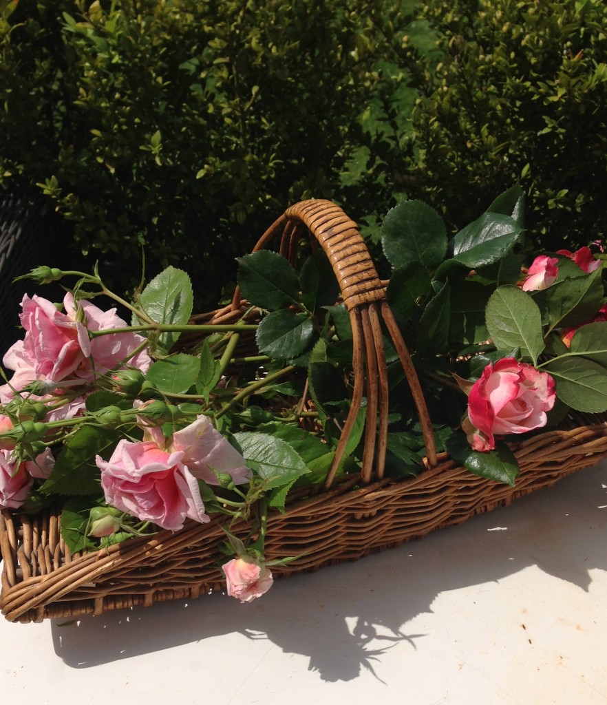 cueillette du jardin
