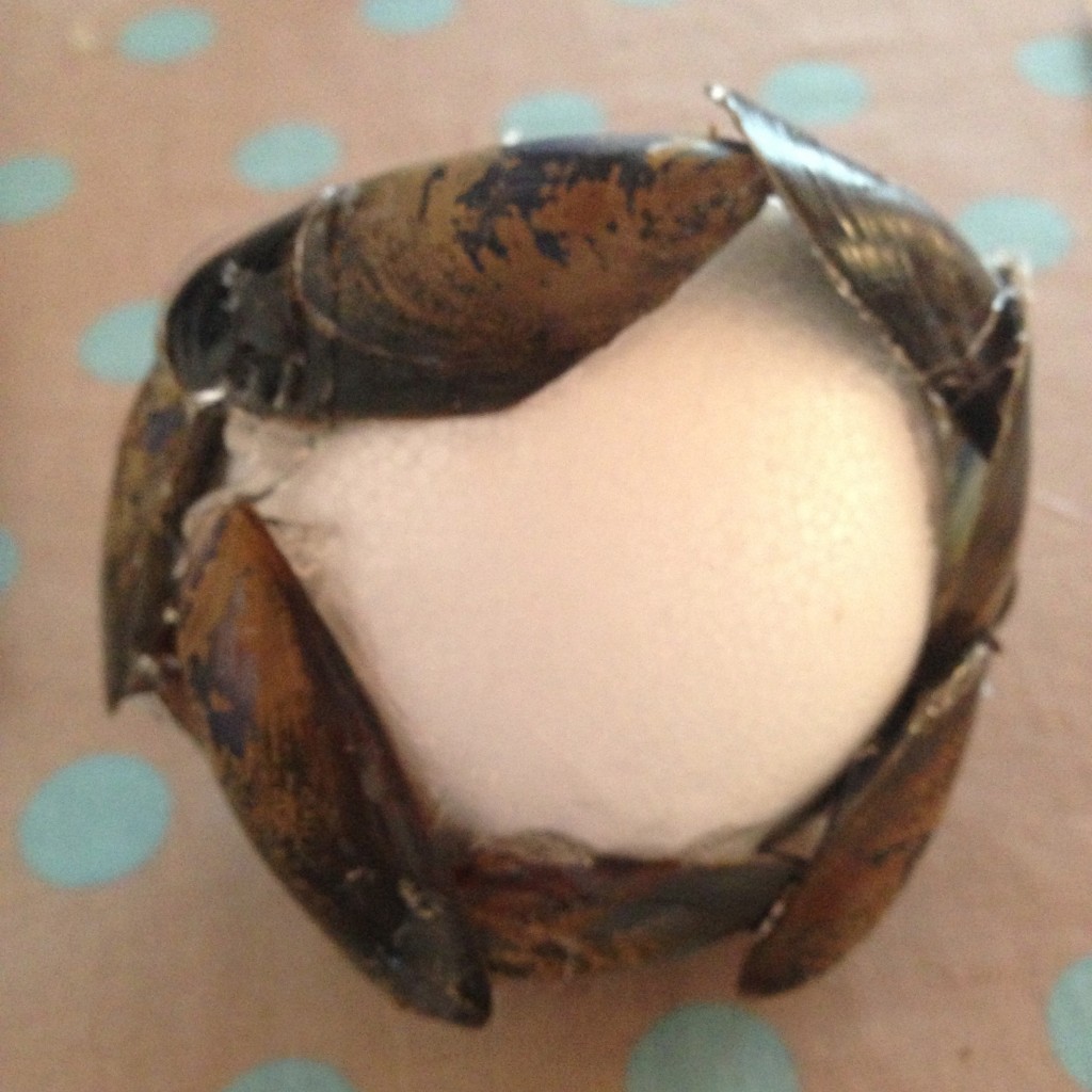 boule de moules