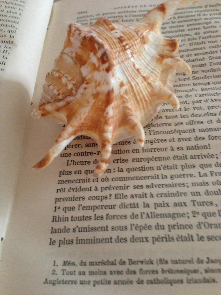 lecture de bord de mer