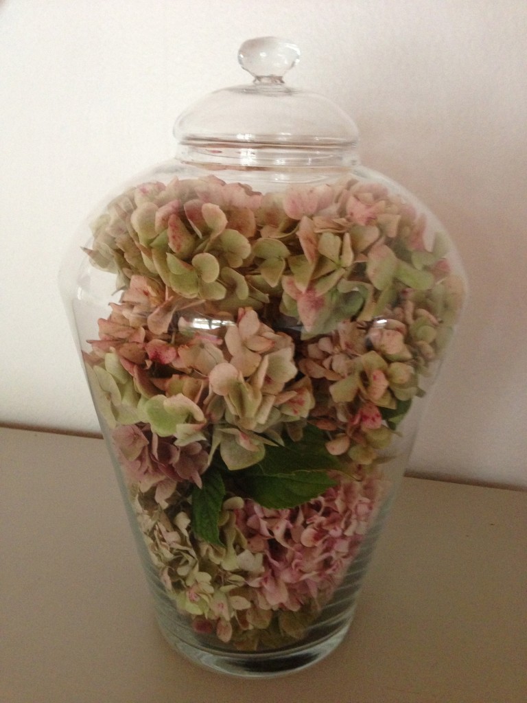 hortensias en bocal