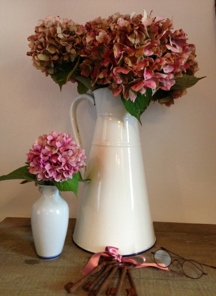 hortensias shabby