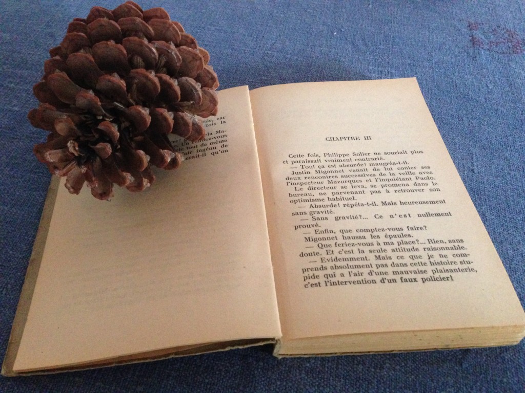 livre et pomme de pin