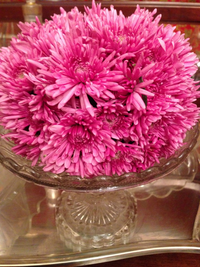 boule de chrysanthème