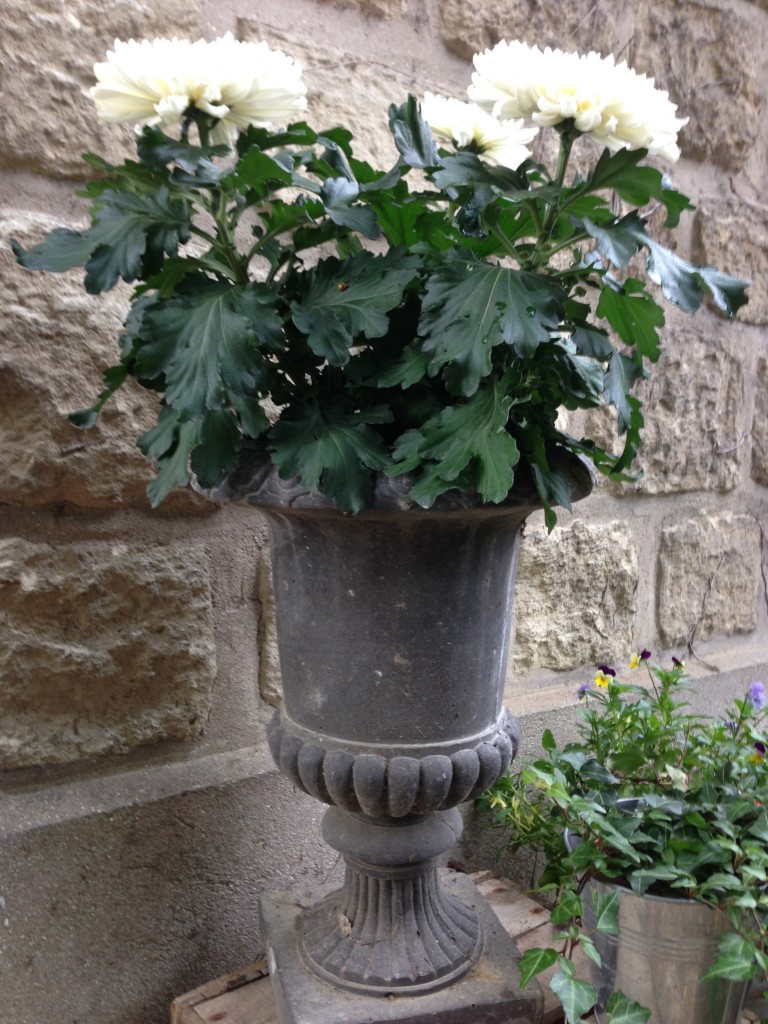 Médicis d'automne
