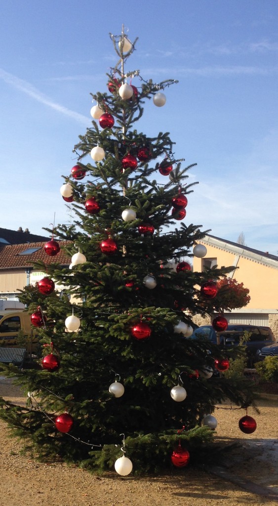 le sapin de Noël sur la place
