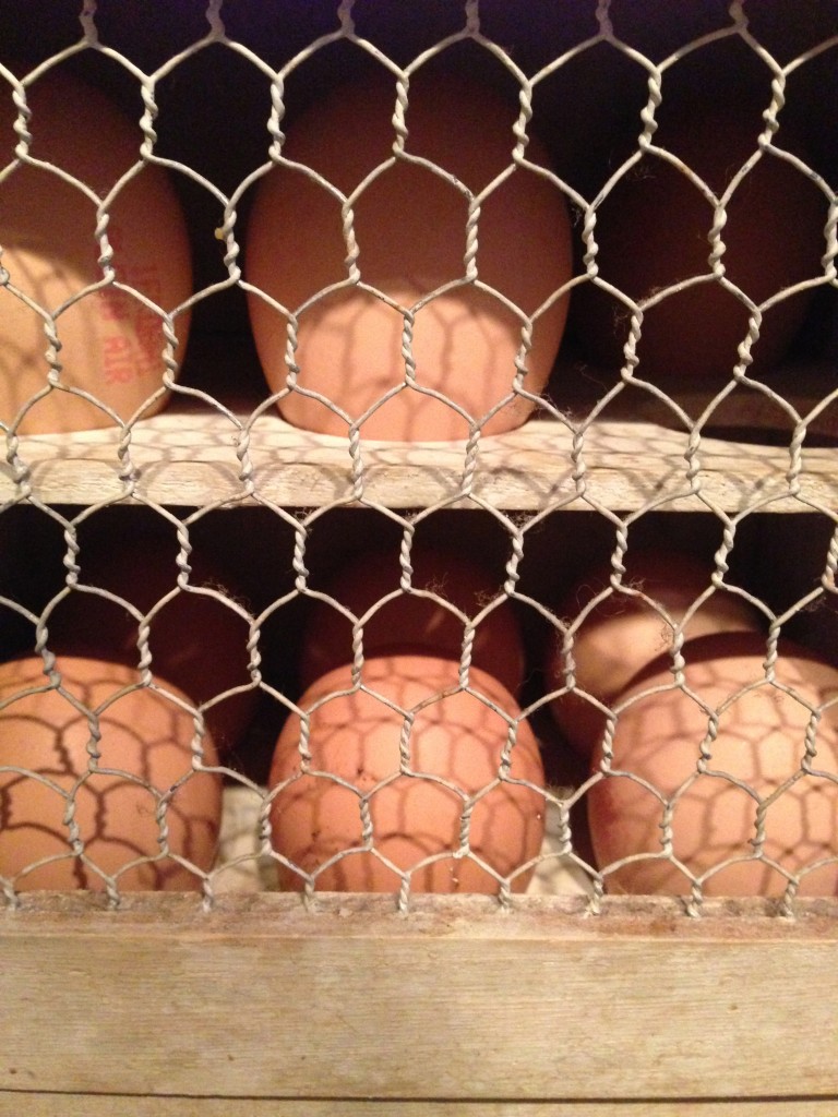 la maison des oeufs