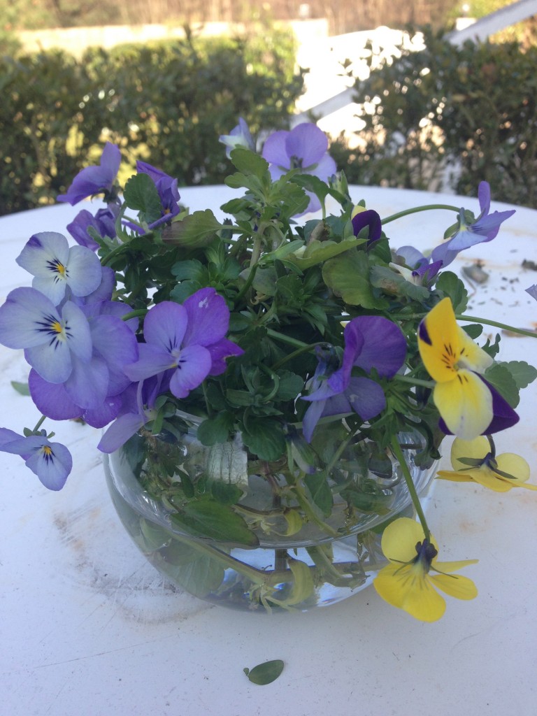 vase de pensées