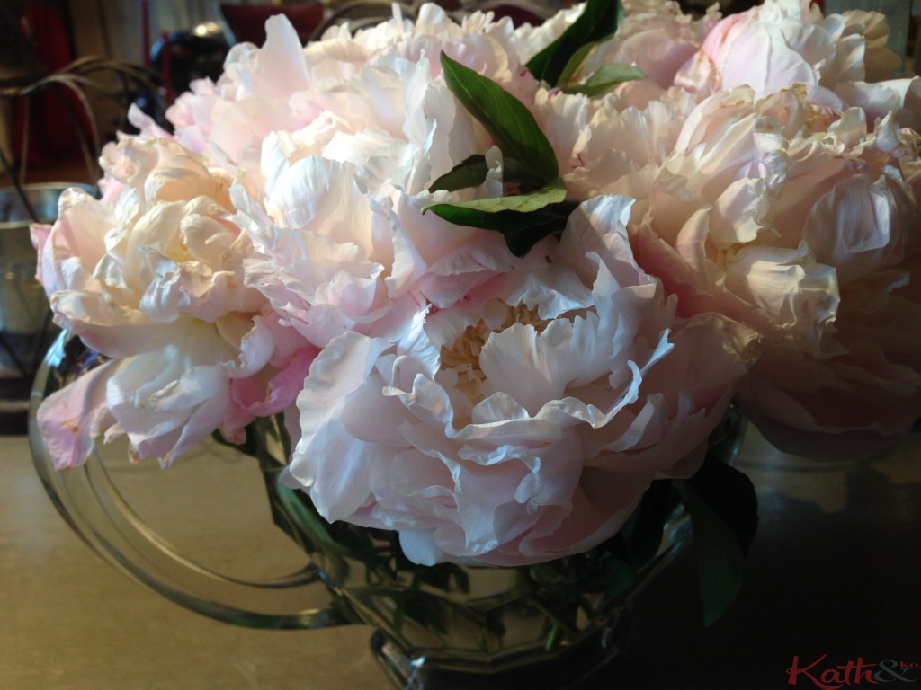 pivoines