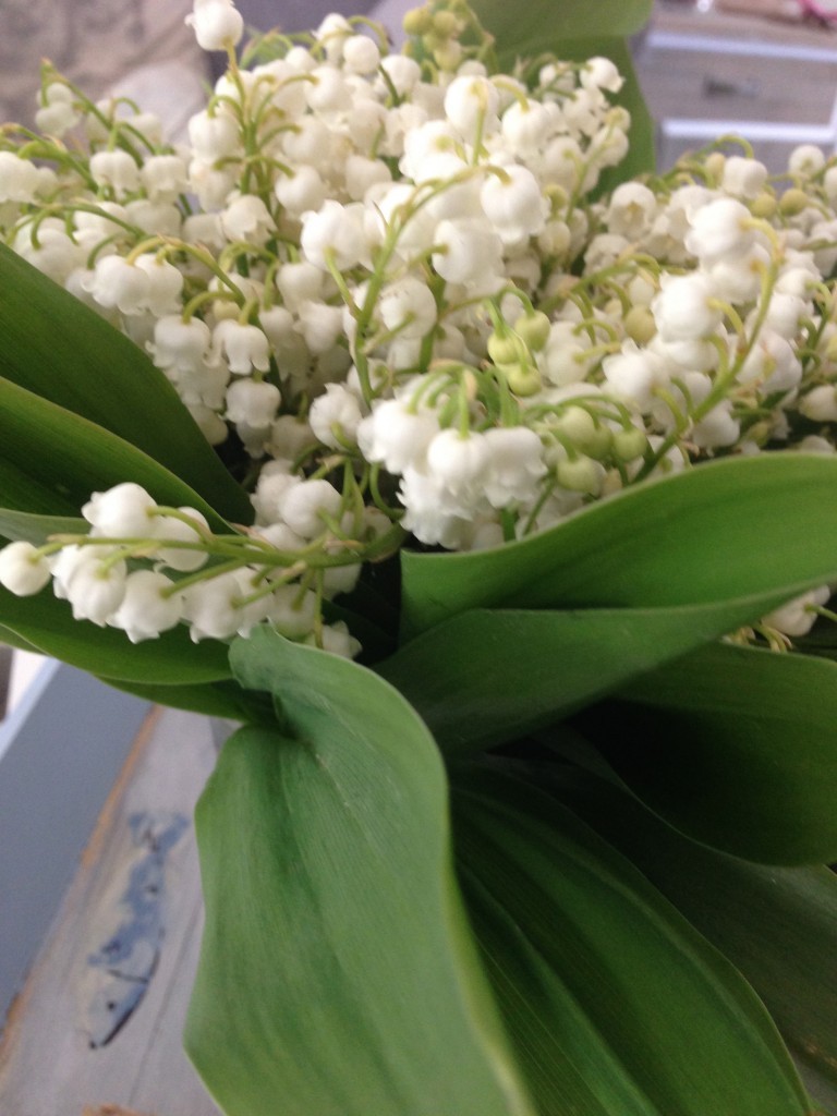 muguet