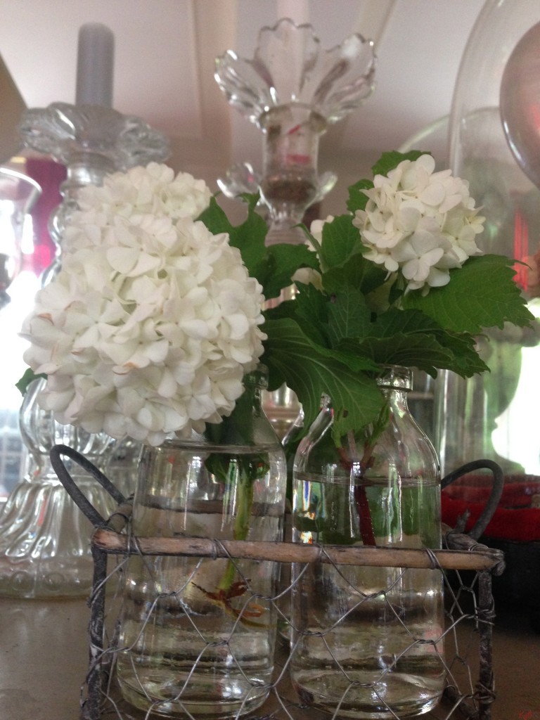 boules de neige , fleurs