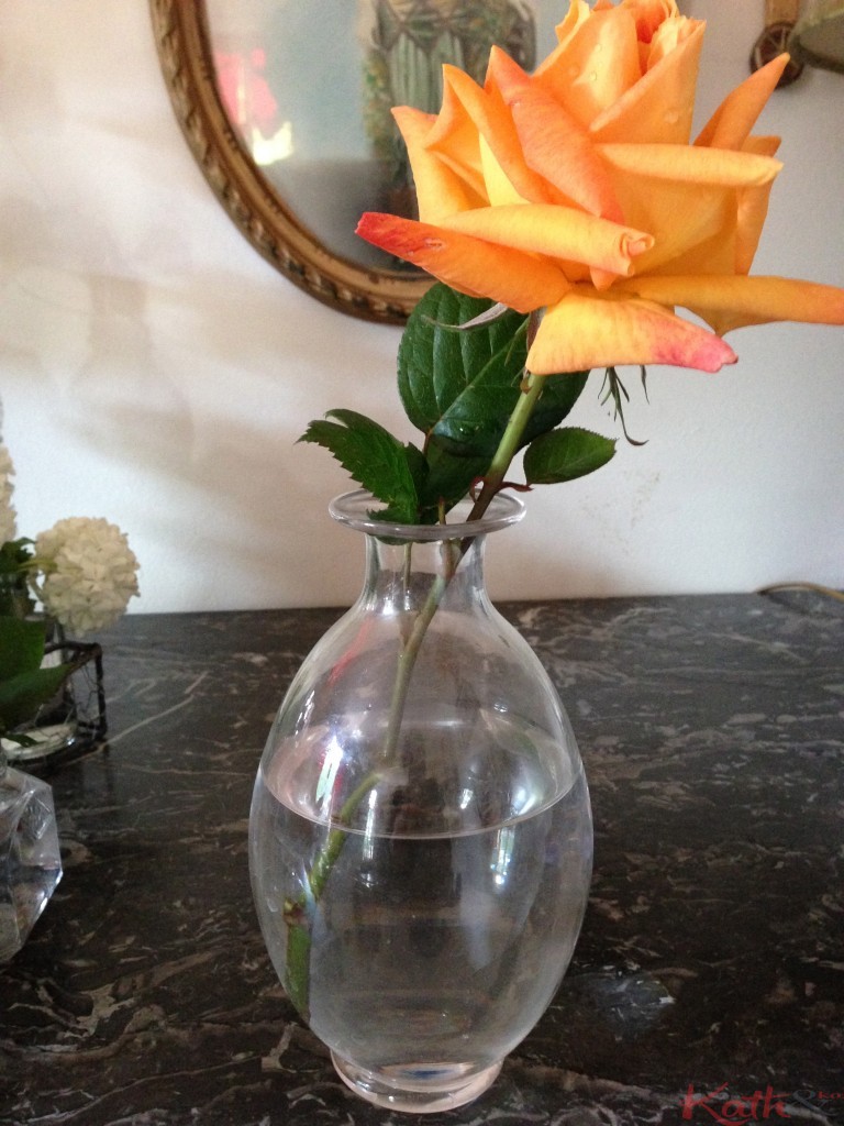 carafe et rose