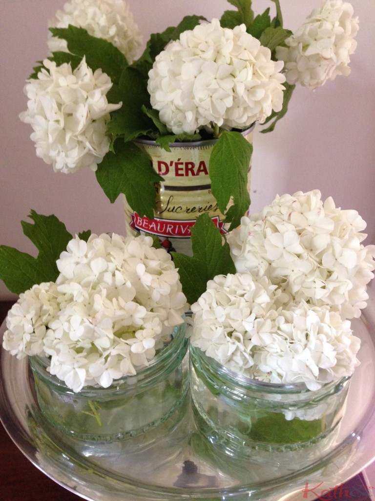 pots Gü + fleurs