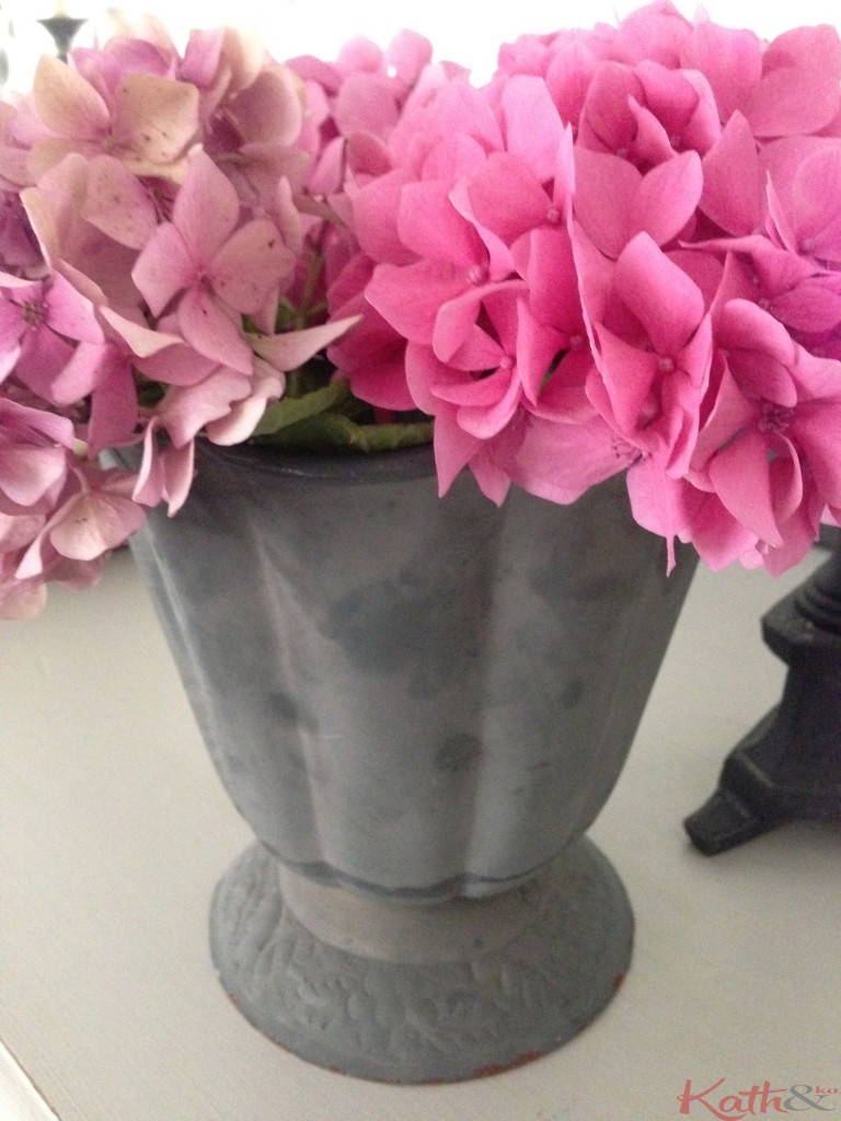 zinc et hortensias