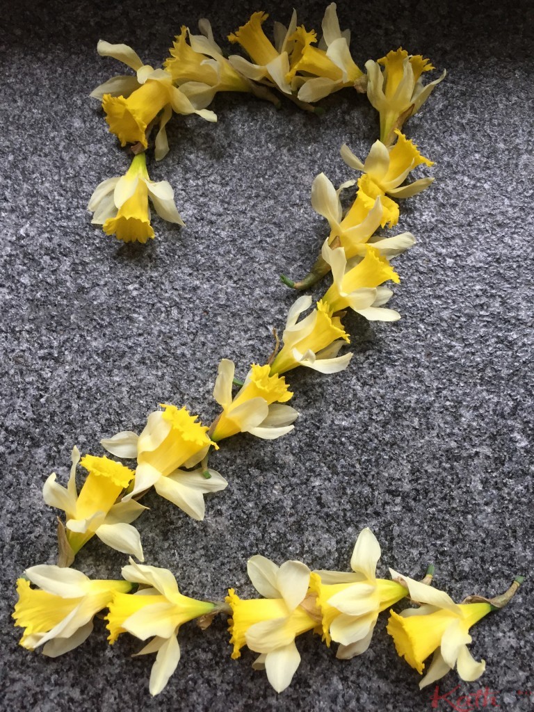 jonquilles