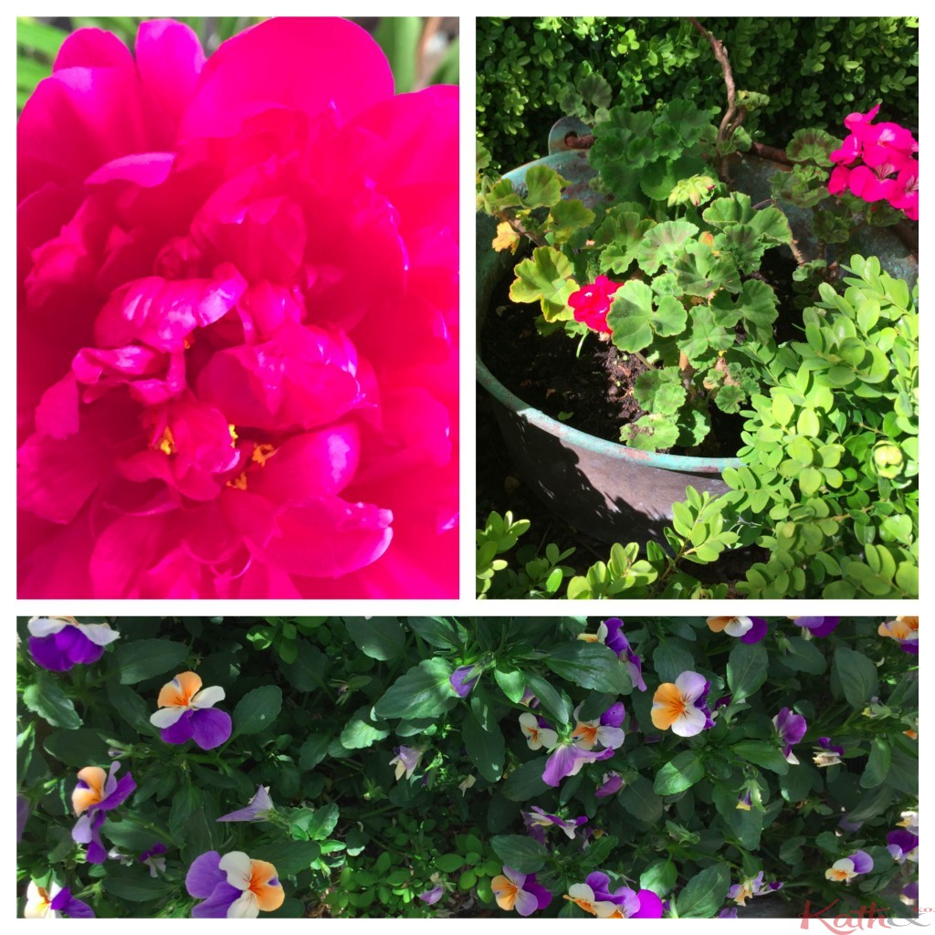 flower power