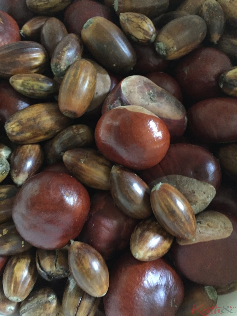 marrons et glands