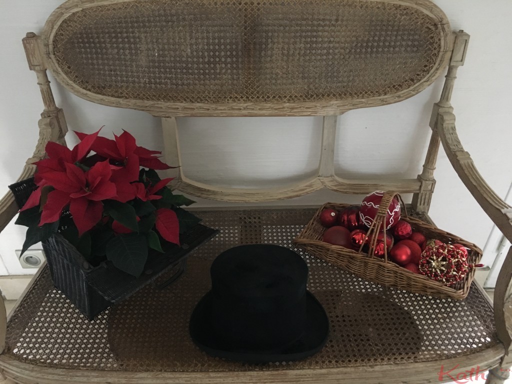 poinsettia