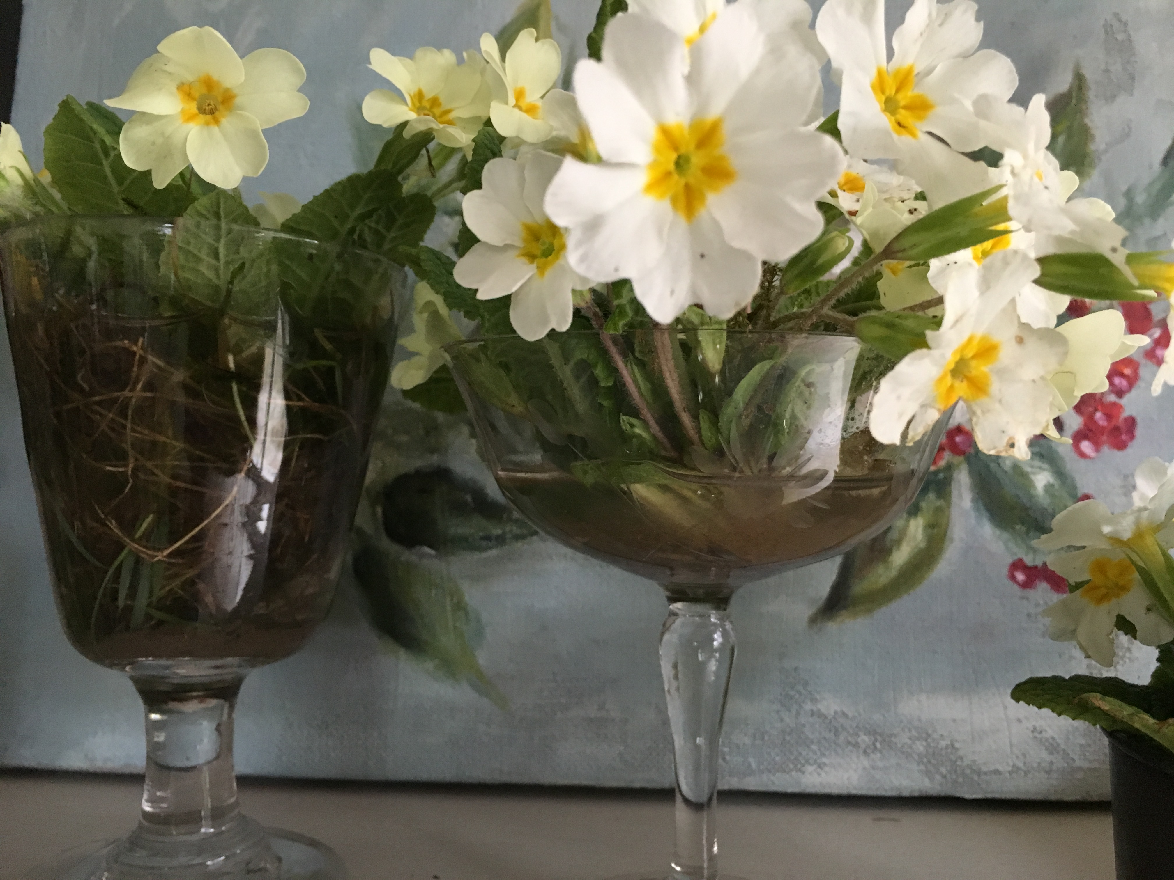 vases printemps