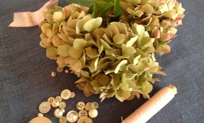 Hortensias mode d’emploi
