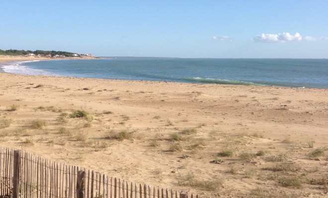 Ganivelles, lecture et coquillages