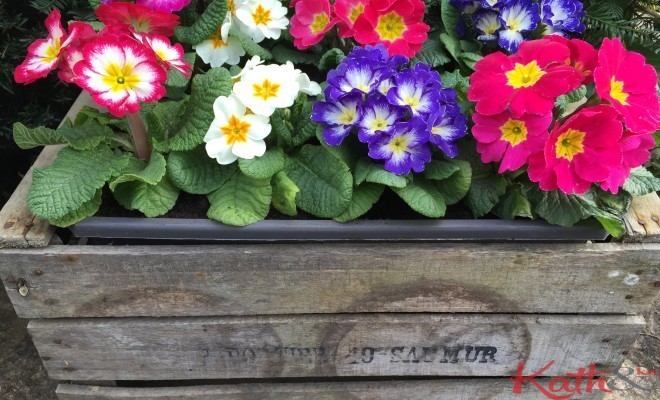 Le printemps sur la pointe des pieds