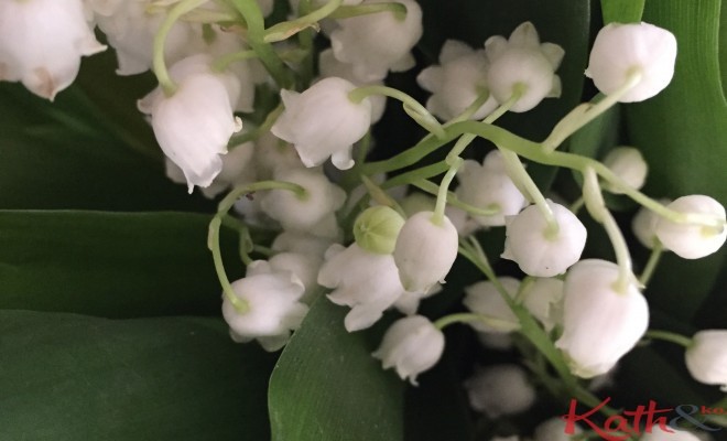 brin de muguet