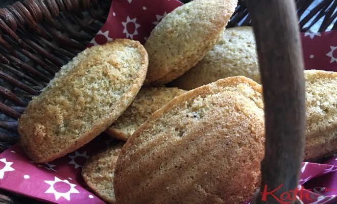 Les madeleines à la vanille